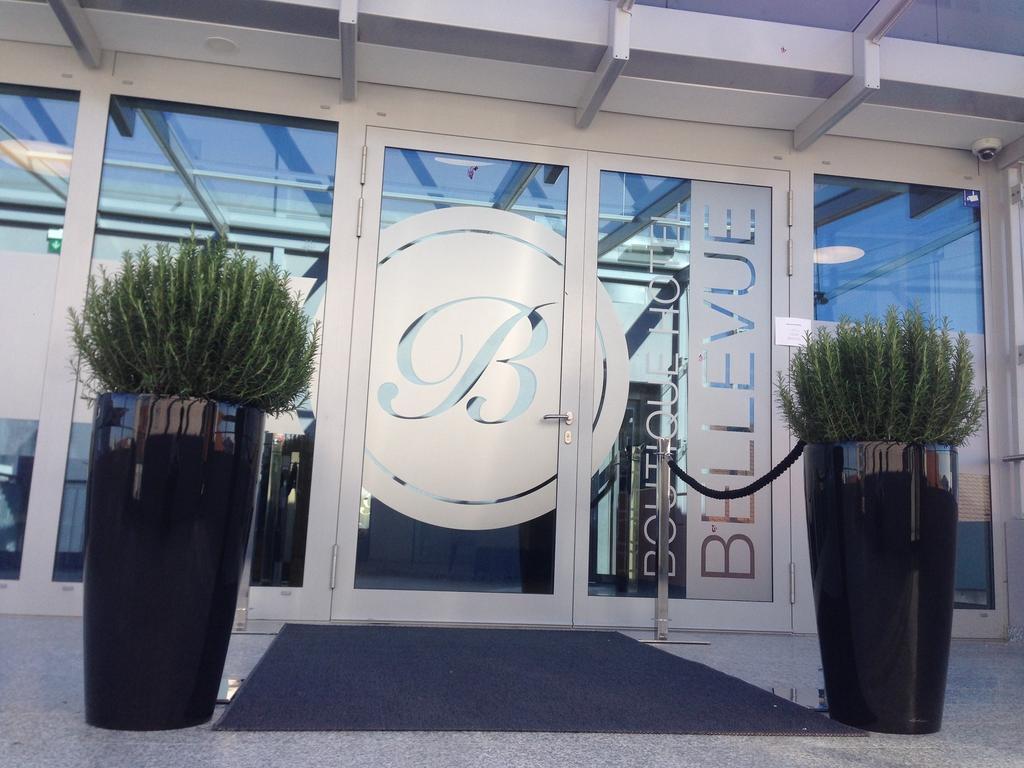 Boutique Hotel Bellevue Rheinfelden / Basel Kültér fotó