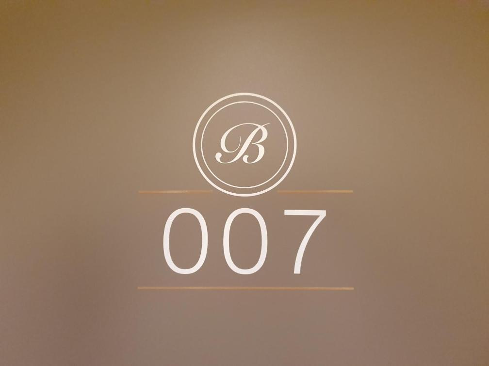 Boutique Hotel Bellevue Rheinfelden / Basel Kültér fotó